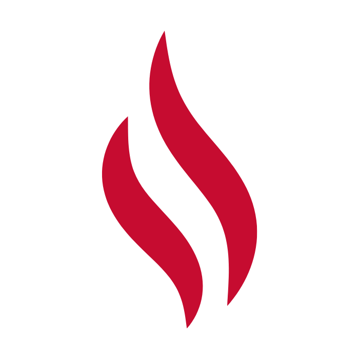 NordicHigh (DK) logo