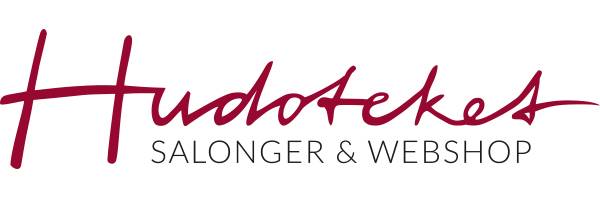 Hudoteket logo