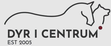 Dyricentrum.com logo